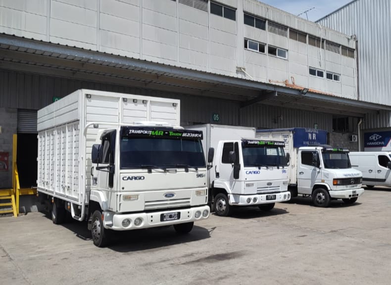 Flota de camiones Transporte MR TRUCK